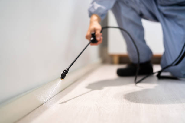 Licensed Pest Control service in Rock Island, IL - Show Me Pest Control